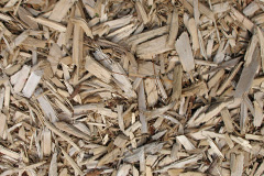 biomass boilers Geufron